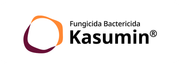 Kasumin