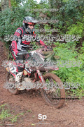 IMG-0325