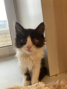 69225088-3307-4DF3-BBE4-BE415AC754D4