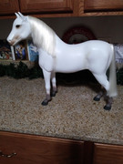 Horse bath 5 All done