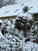 316040914_1170551033872384_8147276981065135097_n