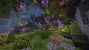 5hrab-Mq-d