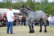IMG-7353-wynik