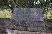 DSC-0377