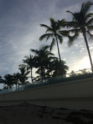 Eric Painter Sugar Land (10)