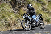 IMG-1391