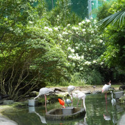 photo 4 2026 01 10 16 02 59