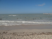 DSC01444