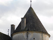 DSCN6765.jpg