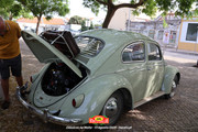 IMG-3556