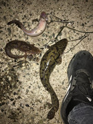 7D70292D-C170-43D2-B06B-27F9CCB5DDA1