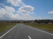 DSCN1184