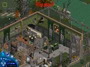 10-main room-kitchen B