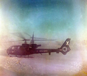 1979-_Jan-3_CBAS-_S-_Norway-_B_Warty