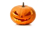 Pumpkins-0028