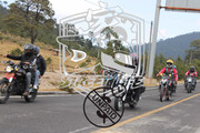 IMG-2104