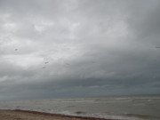 DSC00494