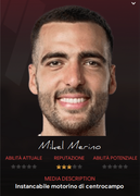 merino