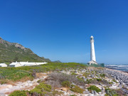 IMG-20250122-WA0215