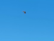 IMG 20251128 154449975 HDR AE