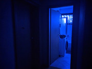 IMG_20211225_001726_tigr