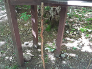MAD_hiking_staff