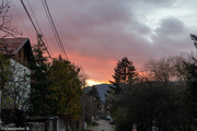 IMG-2363
