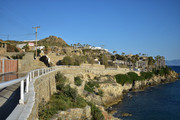 Paradise-(11)