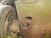 IMG-7469