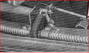 photo-1.png