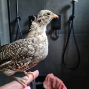 b92cb8f1-4a72-4268-ad83-ee0397b8b696