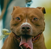 Screenshot_20230627_235029_Gallery