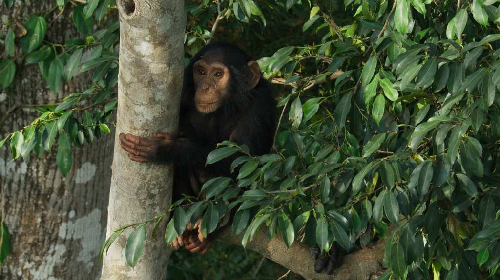 [Image: 0jkuvdjpa800.png]