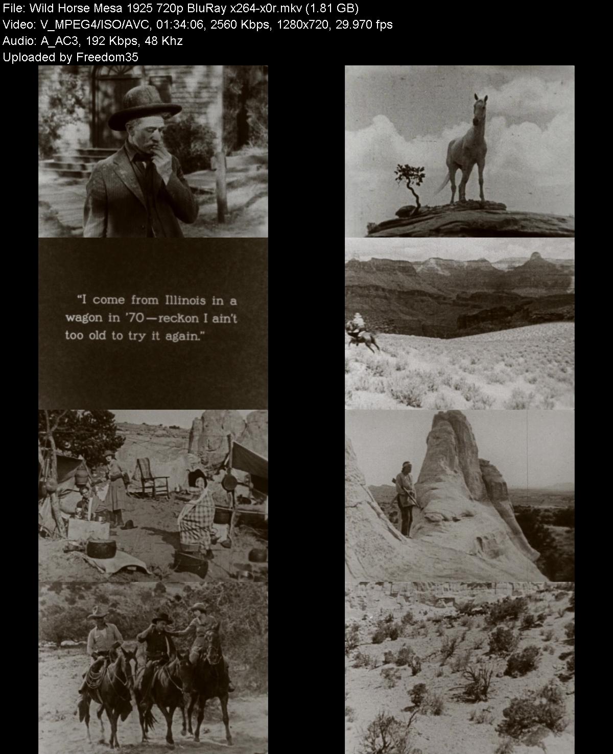 Wild-Horse-Mesa-1925-720p-Blu-Ray-x264-x