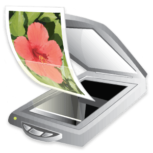 [Image: cq5tgc5pvu91.png]