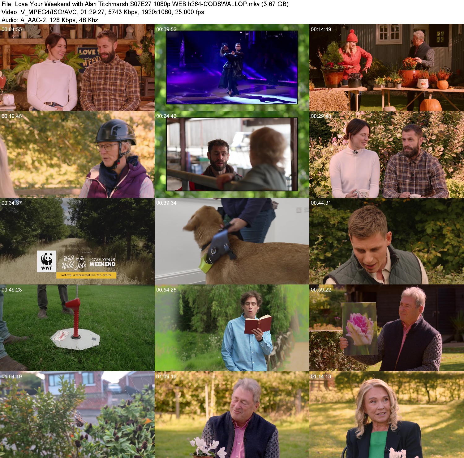 [Image: i1pleq56pf9u.jpg]