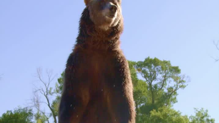 [Image: dh5dh72vmc3m.jpg]