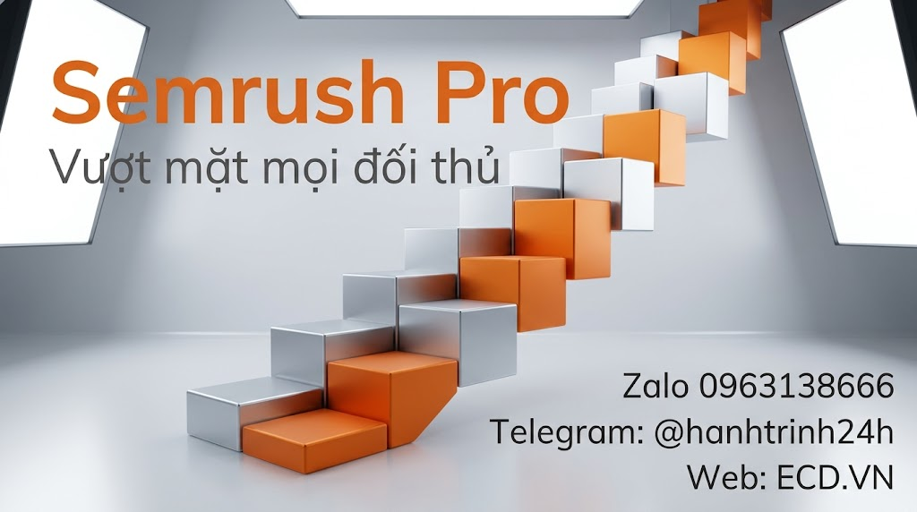 pass lại tài khoản semrush