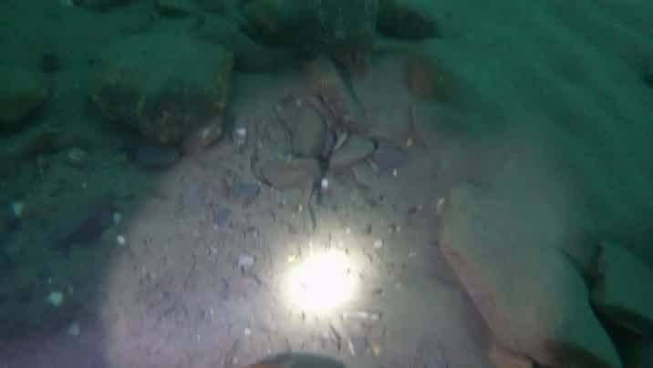 [Image: s1ms78nzfsd5.jpg]