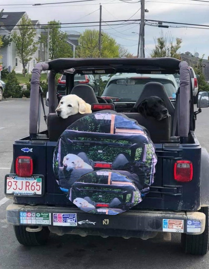 https://i.postimg.cc/nntM5xvr/Dqp0o2q-redimensionner.jpg