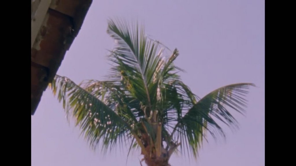 [Image: 650fl5suxjdj.jpg]