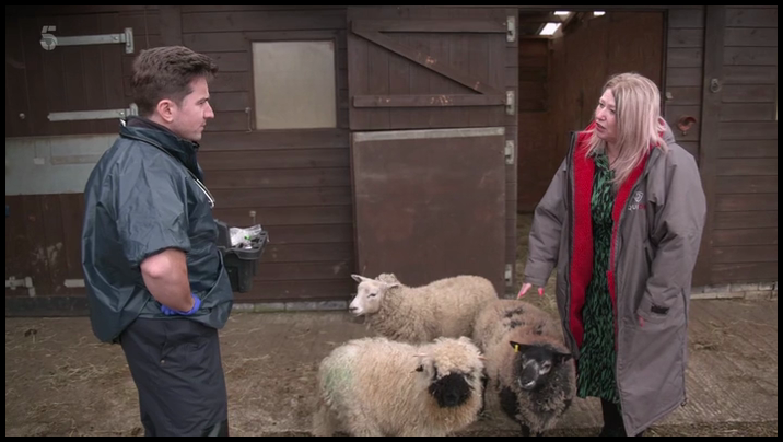 [Image: h50ig4icmsh8.png]