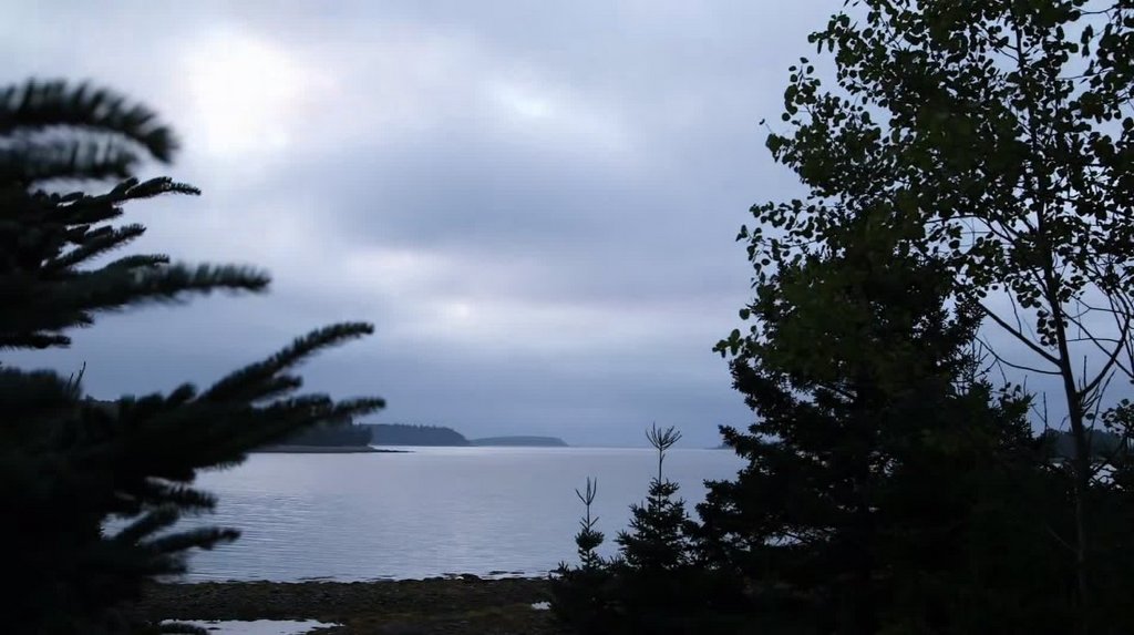 [Image: oii7n8o5nn7c.jpg]