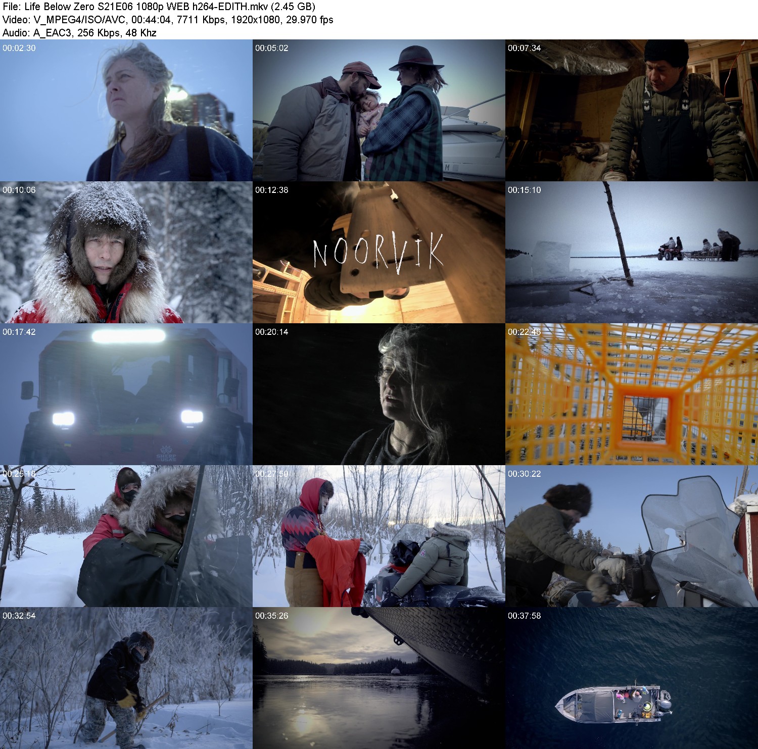 [Image: ojnd924fz3bj.jpg]