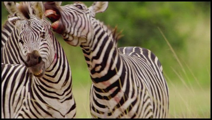 [Image: gz1ce7pol9z1.png]