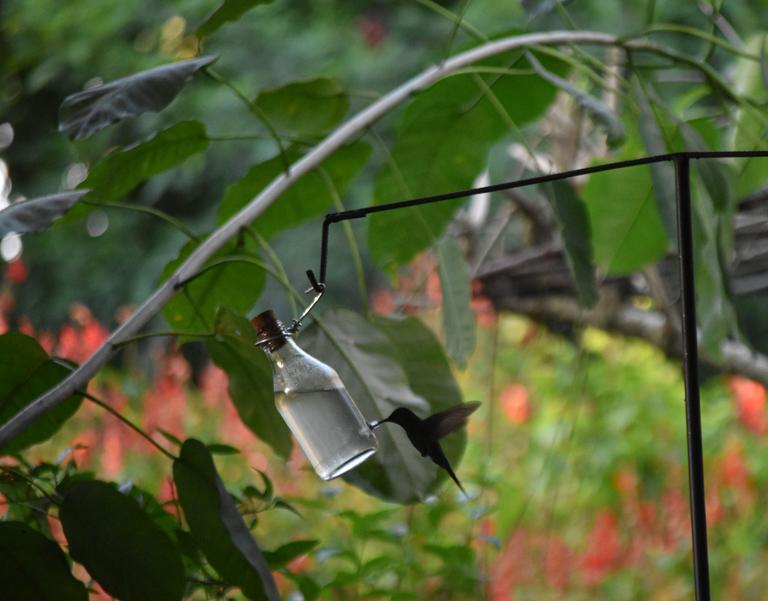 В джазе только девушки или аргентинско-бразильский калейдоскоп В джазе только девушки или аргентинско-бразильский калейдоскоп