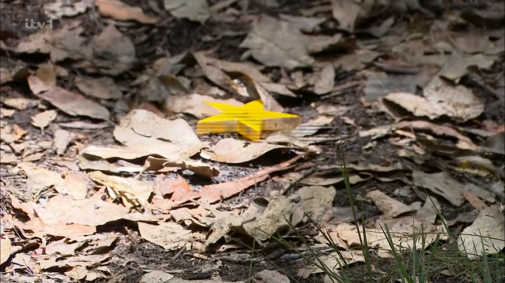 [Image: t8jlpauo1g80.png]