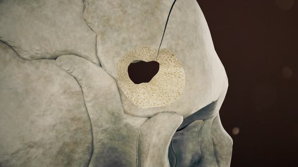 [Image: 8h42ykinnf6d.jpg]