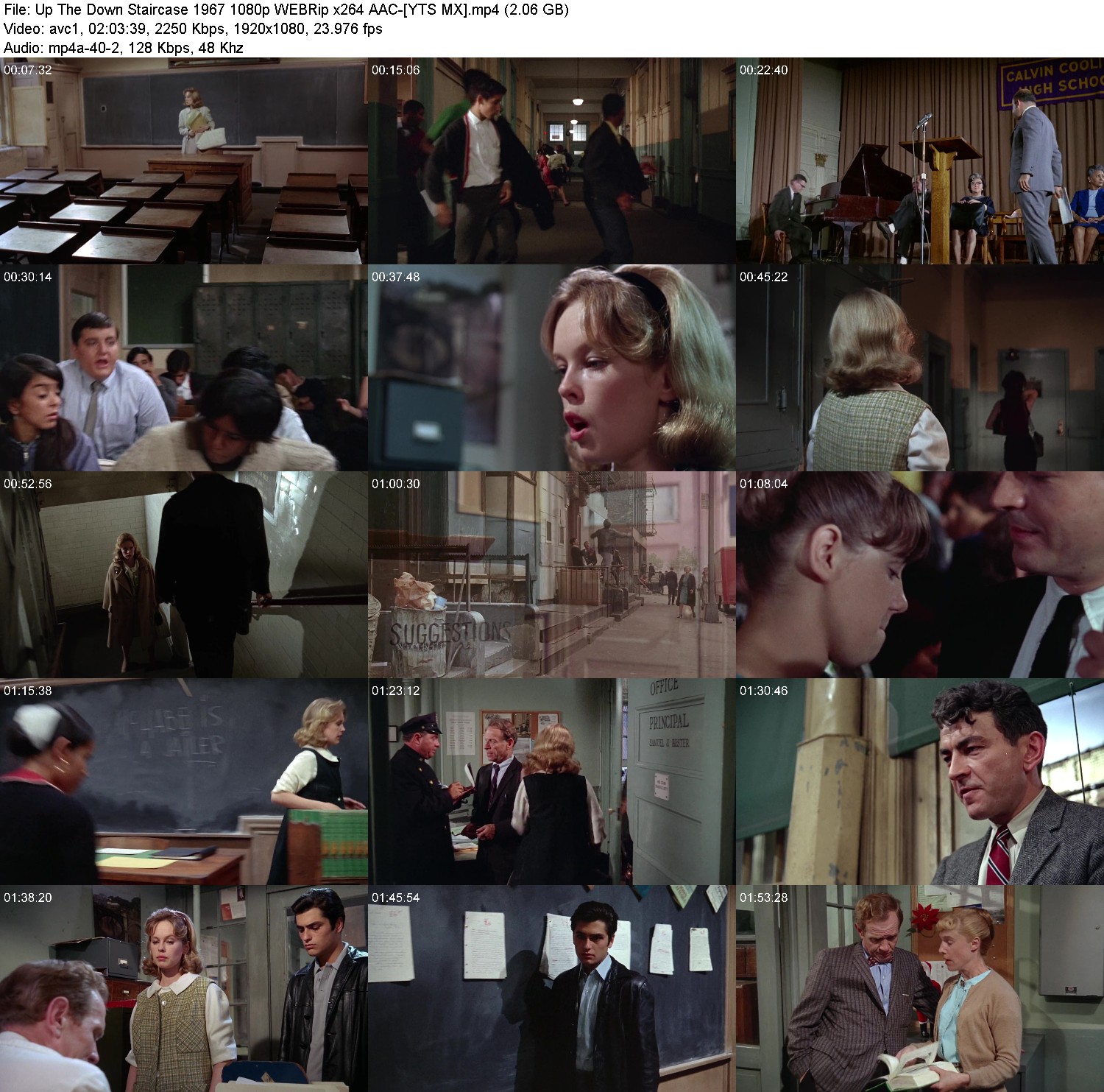 [Image: 93hp6i5txdqx.jpg]