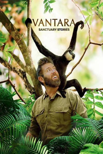 [Image: l5ht61ljx6ts.jpg]